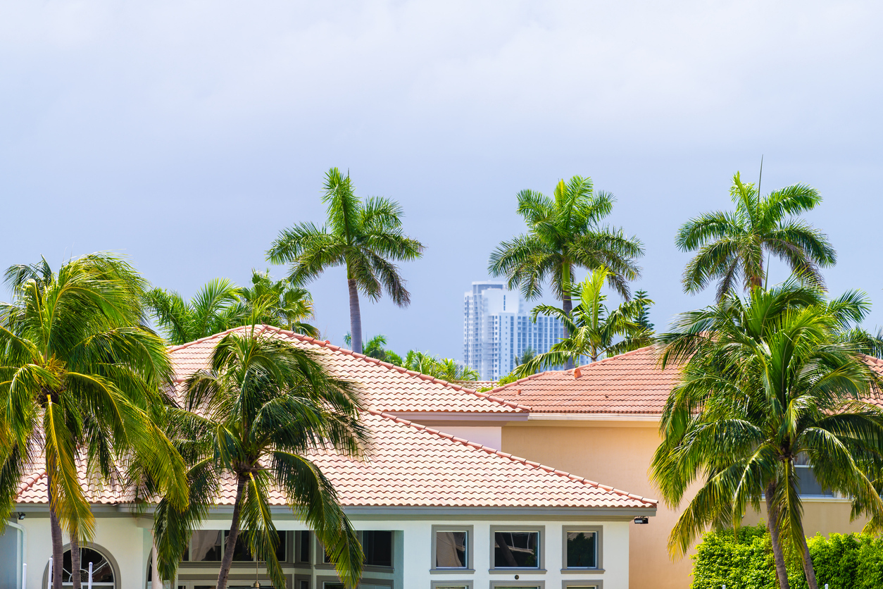 Homestead exemption
